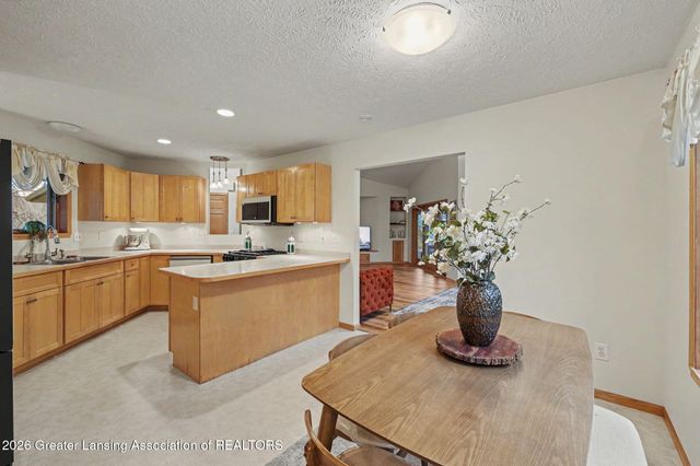 248 Birch Lane, Dimondale, MI 48821