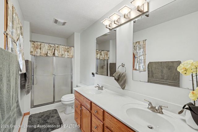248 Birch Lane, Dimondale, MI 48821
