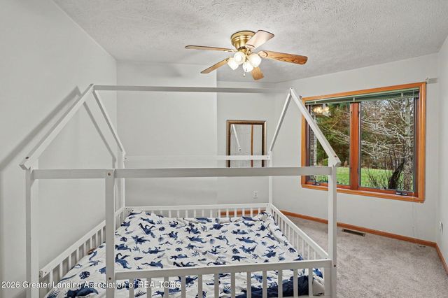 248 Birch Lane, Dimondale, MI 48821