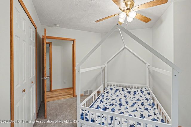 248 Birch Lane, Dimondale, MI 48821