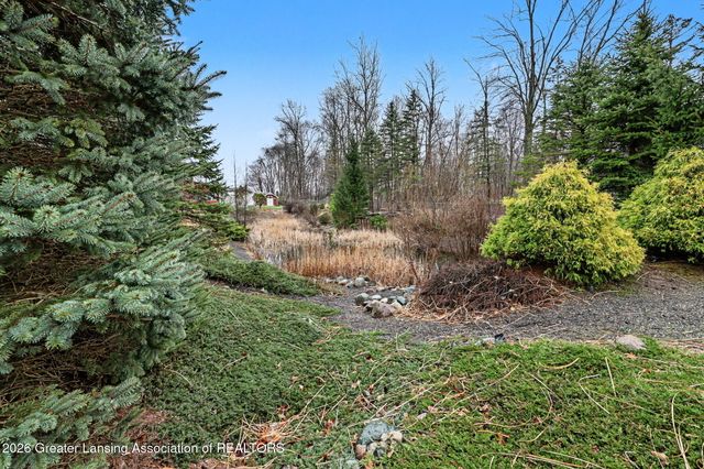 248 Birch Lane, Dimondale, MI 48821