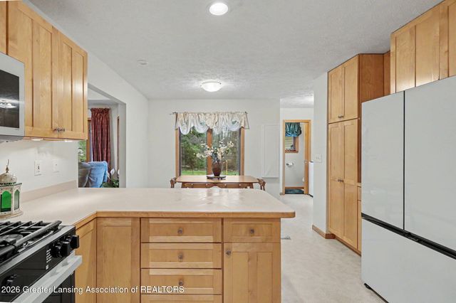 248 Birch Lane, Dimondale, MI 48821