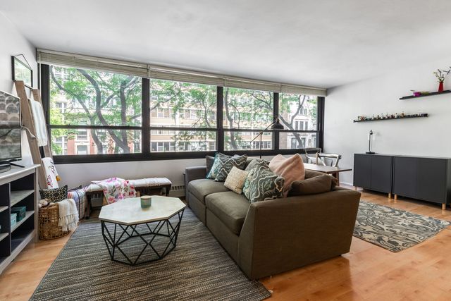 33 E Cedar Street 3F, Chicago, IL 60611
