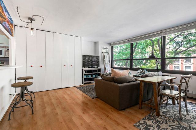 33 E Cedar Street 3F, Chicago, IL 60611