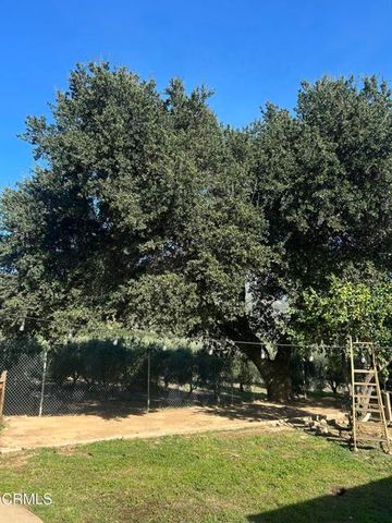 12104 Topa Lane, Santa Paula, CA 93060