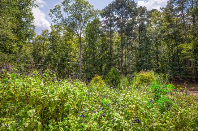 67 Bingham Ridge Drive, Pittsboro, NC 27312