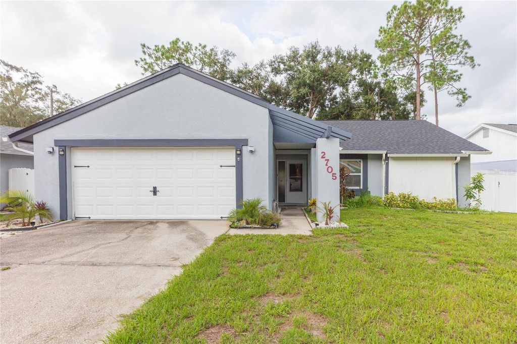 2705 LAKEVILLE DRIVE, Tampa, FL 33618