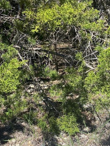 9302 Timber TRL, Lago Vista, TX 78645