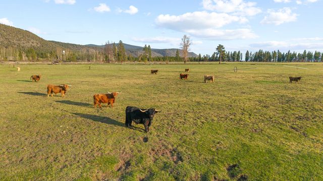 32907 River Bend Road, Chiloquin, OR 97624