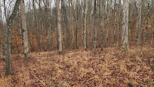 0 Lauren Lane, Baxter, TN 38544