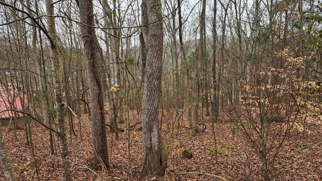 0 Lauren Lane, Baxter, TN 38544