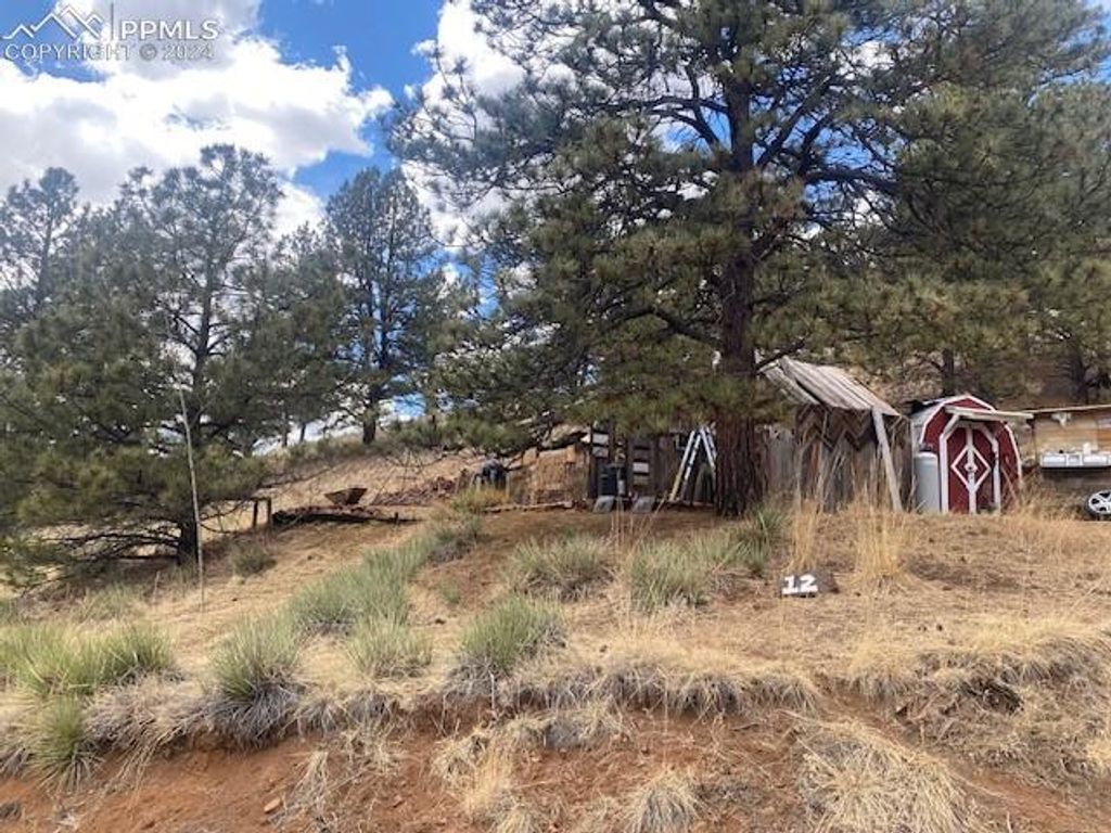 4023 Teller 1 Road, Cripple Creek, CO 80813 — photo 4