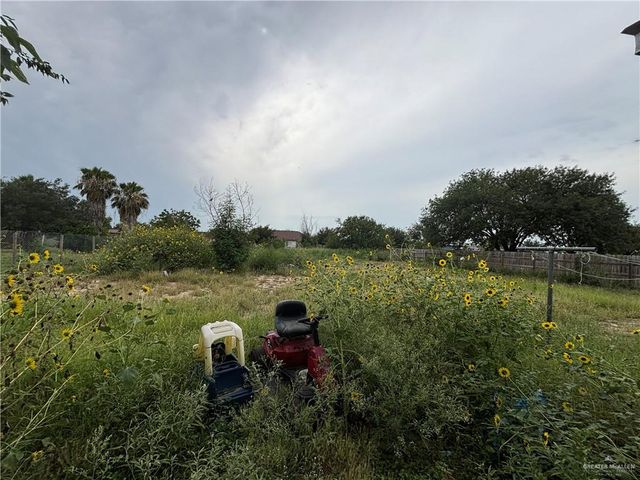 16805 Las Canas Drive, Edinburg, TX 78541