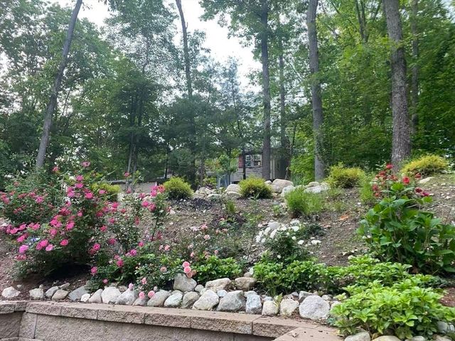 29 Dewey Rd, Lexington, MA 02420