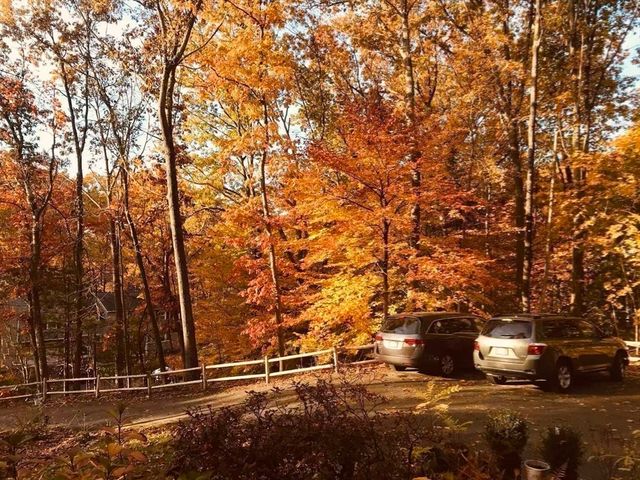 29 Dewey Rd, Lexington, MA 02420