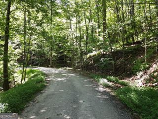 0 Bald Eagle Path, Cleveland, GA 30528