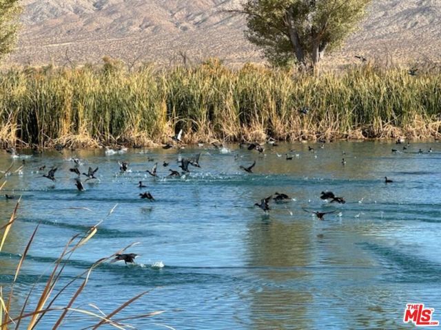 12055 Munsey Road, California City, CA 93519