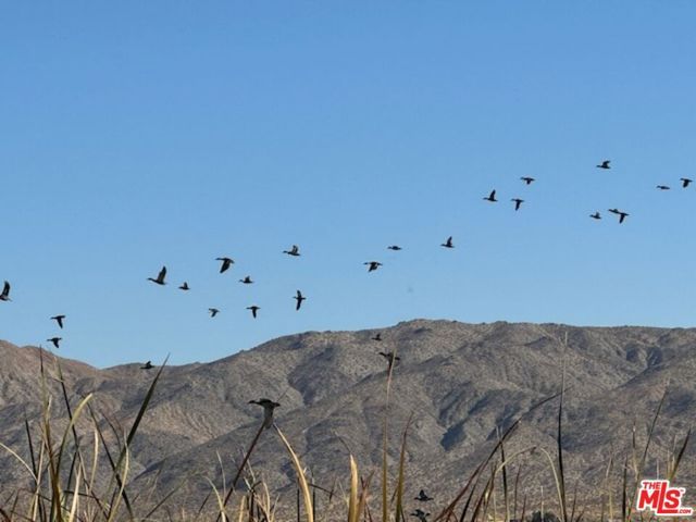 12055 Munsey Road, California City, CA 93519