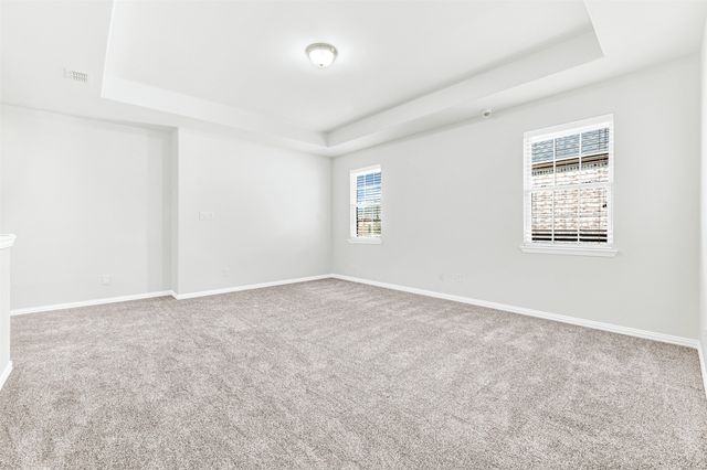 4308 Cheetah Trail, Frisco, TX 75034