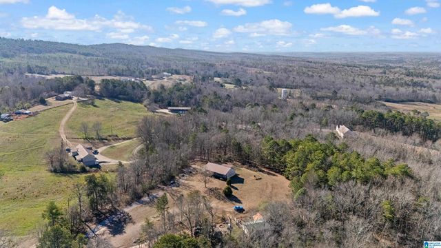 711 YAW ROAD, Remlap, AL 35133