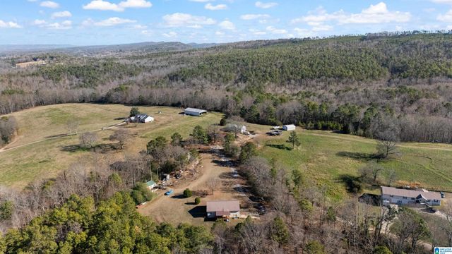 711 YAW ROAD, Remlap, AL 35133