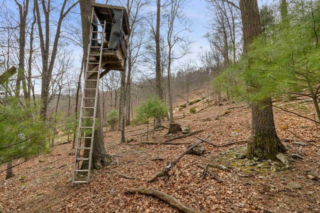 1851 CULLERS RUN RD, Mathias, WV 26812