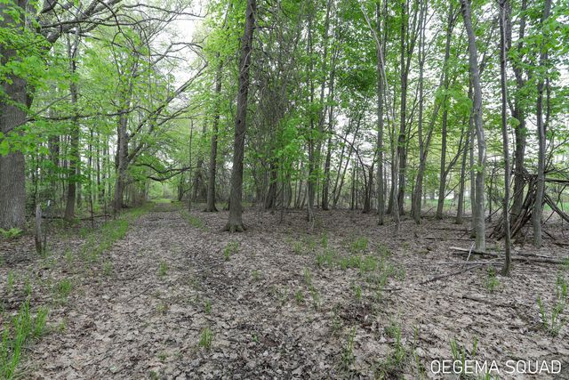 5391 Eagle Pass Drive, Blendon Twp, MI 49426