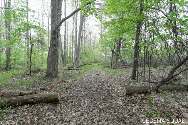 5391 Eagle Pass Drive, Blendon Twp, MI 49426