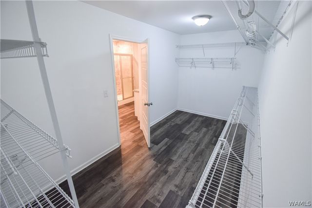 86 Rob Lee, Moundville, AL 35474