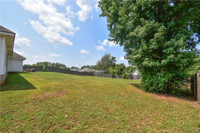 86 Rob Lee, Moundville, AL 35474