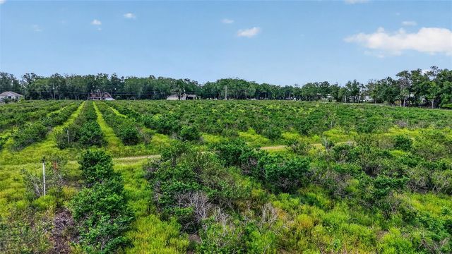 URICK STREET, Fruitland Park, FL 34731