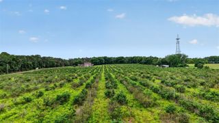 URICK STREET, Fruitland Park, FL 34731