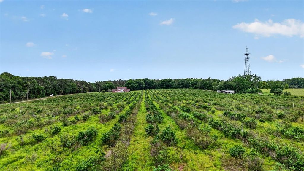 URICK STREET, Fruitland Park, FL 34731