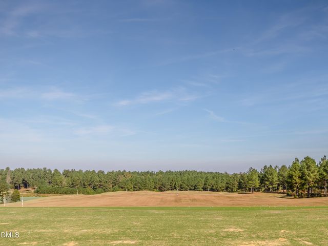 558 Chapel Ridge Drive, Pittsboro, NC 27312