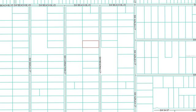 BEGONIA COURT, Dunnellon, FL 34431