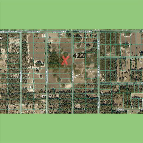 BEGONIA COURT, Dunnellon, FL 34431