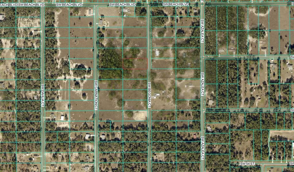 BEGONIA COURT, Dunnellon, FL 34431