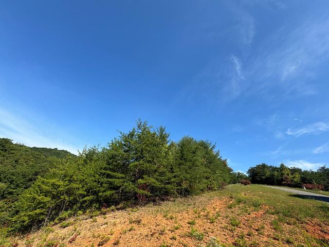 115 Blackhawk Lane, Turtletown, TN 37391