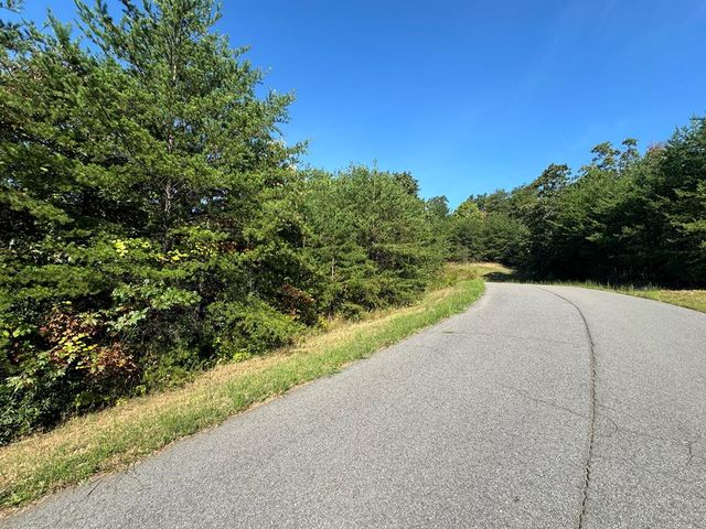 115 Blackhawk Lane, Turtletown, TN 37391