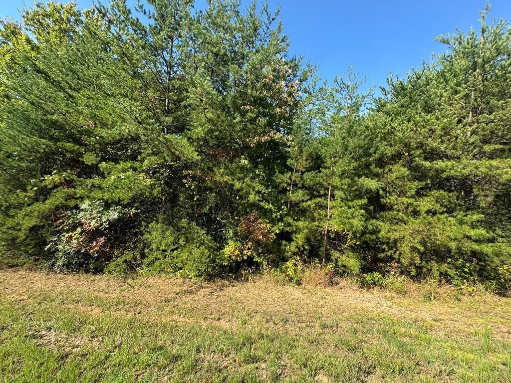 115 Blackhawk Lane, Turtletown, TN 37391