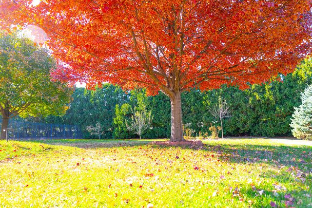 1307 Longford Lane, Bloomington, IL 61704