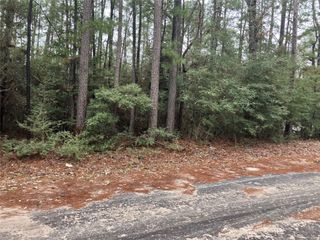 TBD Little Ponderosa Drive, Onalaska, TX 77360