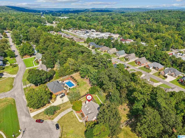 123 BLACK WALNUT LANE, Trussville, AL 35173