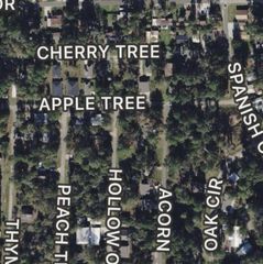 000 Apple Tree, Livingston, TX 77351