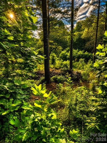 201 Cross Creek North Ridge Drive 46, Marion, NC 28752