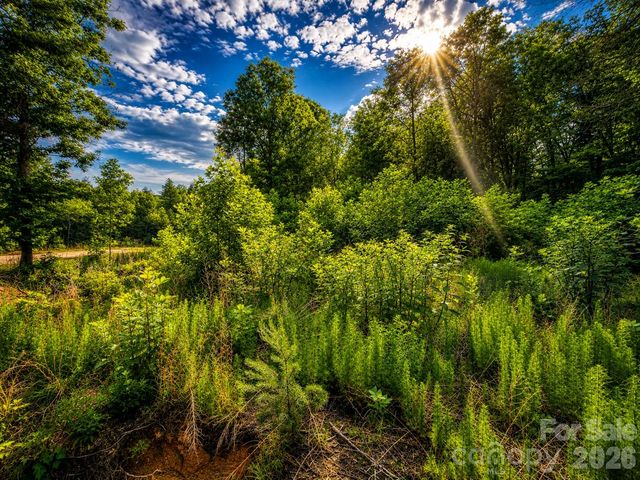 201 Cross Creek North Ridge Drive 46, Marion, NC 28752