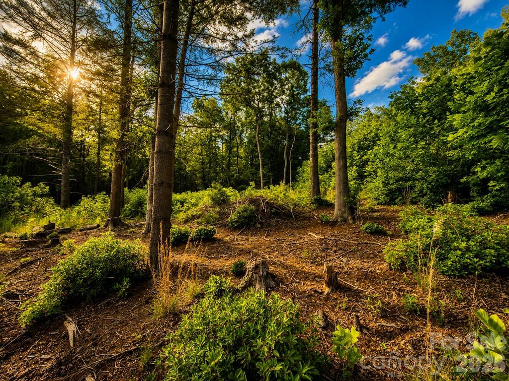 201 Cross Creek North Ridge Drive 46, Marion, NC 28752
