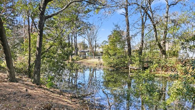 688 Pelzer Drive, Mount Pleasant, SC 29464