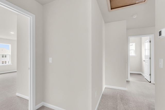 5391 Crinum Lilly, Summerville, SC 29485