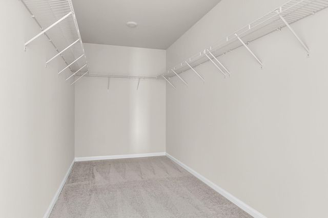 5391 Crinum Lilly, Summerville, SC 29485